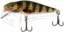 ������ Salmo PERCH PL PH 12 F-HOP