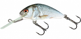 ������ Salmo HORNET PL H 4 F RD