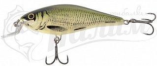 ������ Salmo EXECUTOR PL IEX 7 SR-OB