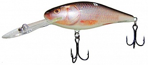 ������ Salmo EXECUTOR 7 SD RER