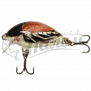 ������ Salmo TINY PL IT 3 S-COC