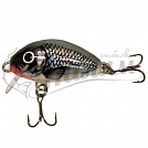 ������ Salmo TINY PL IT 3 F-HGS