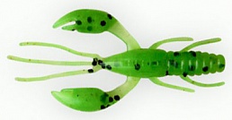 Fanatik RAIDER 1.6 #026