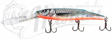 ������ ��������� Salmo FREEDIVER SDR 12 SIB
