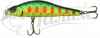 Strike Pro Archback 100SP A209S