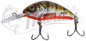 ������ Salmo HORNET RATTLIN F 6.5-YHP