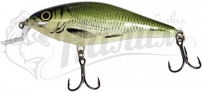 ������ Salmo EXECUTOR PL IEX 9 SR-OLB