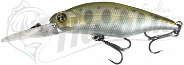 ������ Pontoon 21 Chaos 72F-DR 304