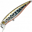 ������ PONTOON 21 Greedy-Guts 77F-SR-453