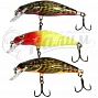  Salmo BULLHEAD PL BD 6 F