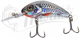 ������ Salmo HORNET RATTLIN F 6.5-SHS