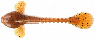 Fanatik GOBY 90 �� #002