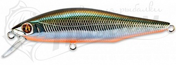  Pontoon 21 Cheeky 80F-SR-R60