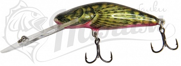 ������ Salmo BULLHEAD PL BD 6 SDR-SBD