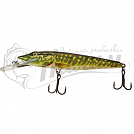 ������ ��������� Salmo PIKE PE11DR-PKE