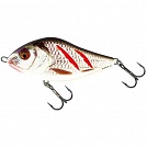������ Salmo SLIDER PL SD 10 F-WGS