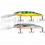   Salmo FREEDIVER SDR 12