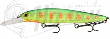 ������ Bearking Mo-Do Faith 115SF G