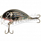 ������ Salmo TINY PL IT 3 S-HGS