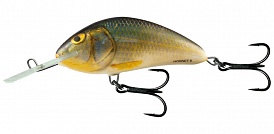 ������ Salmo HORNET PL H 9 F-RR
