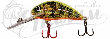 ������ SALMO PL H 5 F GFP