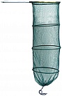  Salmo   UT 31235