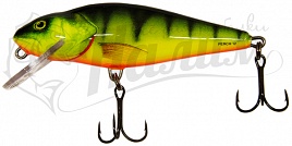 ������ Salmo PERCH PL PH 12 F-HPH