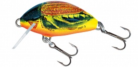 ������ Salmo TINY PL IT 3 F-HC