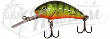 ������ SALMO PL H 5 F HPH