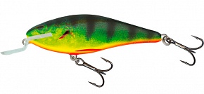 ������ Salmo EXECUTOR PL IEX 12 SR-RHP