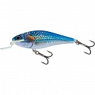 ������ Salmo EXECUTOR PL IEX 9 SR-HSH