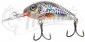 ������ Salmo Hornet H4.5F SHS