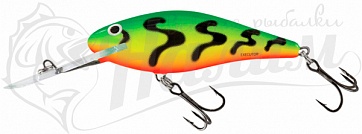 ������ Salmo EXECUTOR 7 SD GRT