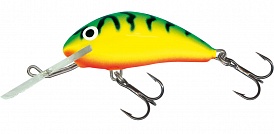 ������ Salmo HORNET PL H 4 F GT