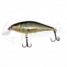 ������ Salmo EXECUTOR PL IEX 9 SR-RDE