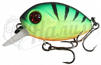 Baby Red Rag 042
