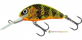 ������ Salmo HORNET PL H 4 F GFP