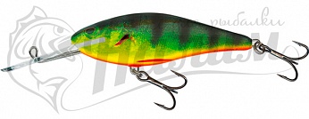 ������ Salmo EXECUTOR 7 SD RHP