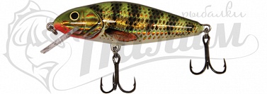  Salmo PERCH PL PH 8 F-HOP