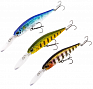 ������ Duo Realis Jerkbait 100DR-SP