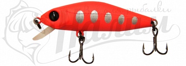 Pontoon 21 Crackjack 48F-SR R45