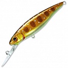 ������ PONTOON 21 Greedy-Guts 77SP-MDR-429