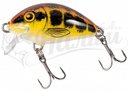 ������ Salmo TINY PL IT 3 S-BM