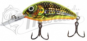 ������ Salmo HORNET RATTLIN F 6.5-GFP