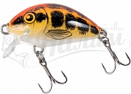 ������ Salmo TINY PL IT 3 F-BM