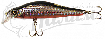 Strike Pro Archback 100SP A70-713