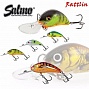  Salmo HORNET RATTLIN F 6.5
