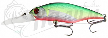 ������ Pontoon 21 Chaos 72F-DR R37