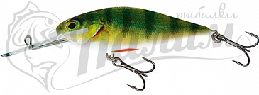 ������ Salmo EXECUTOR 7 SD RPH