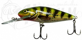 ������ Salmo PERCH PL PH 8 DR-HOP